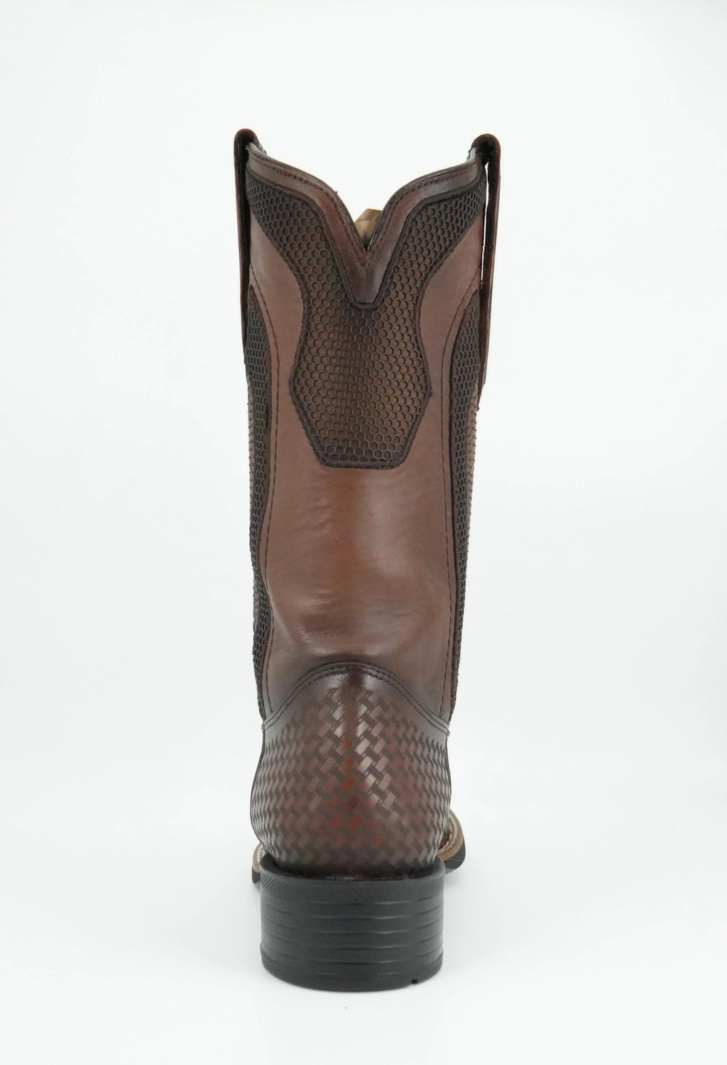 3Z3CVE - VENADO ITALIANO MIEL