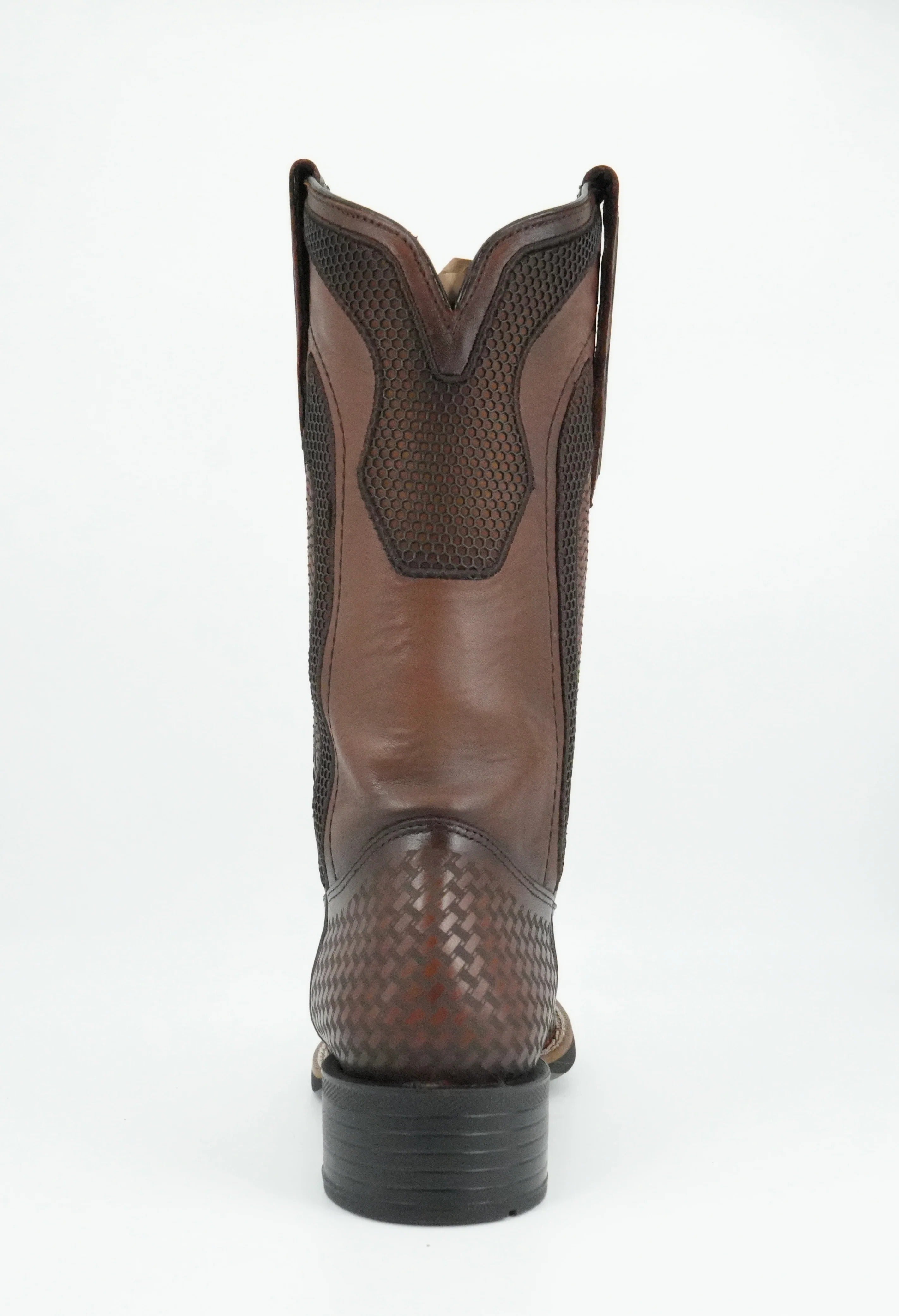 3Z3CVE - VENADO ITALIANO MIEL