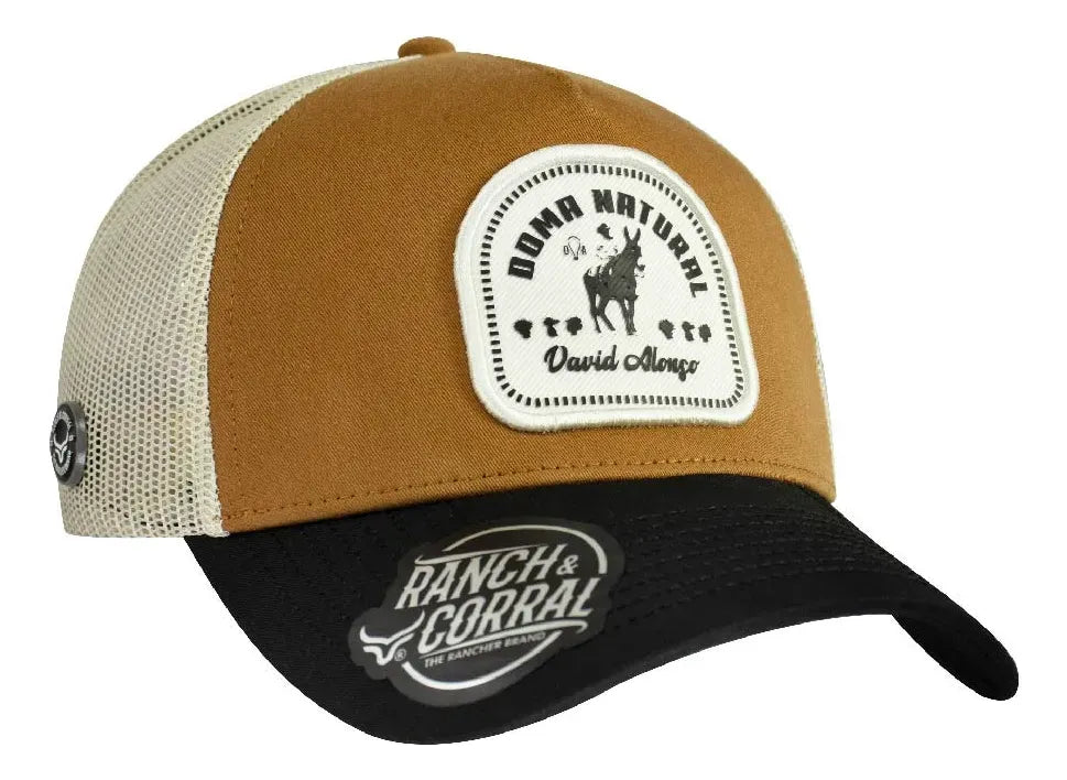 DA22	David Alonso Cap 22