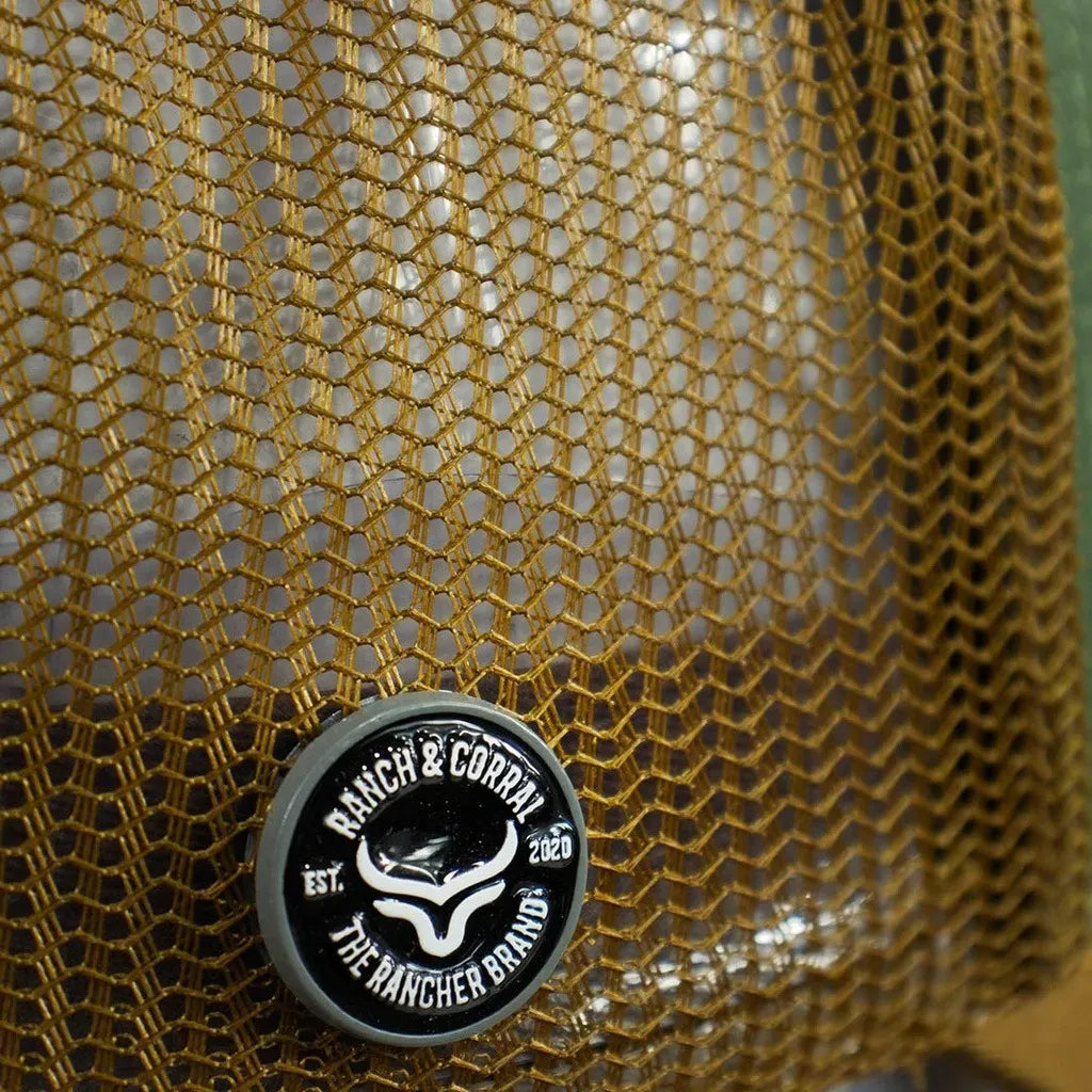 DA25	David Alonso Cap 25