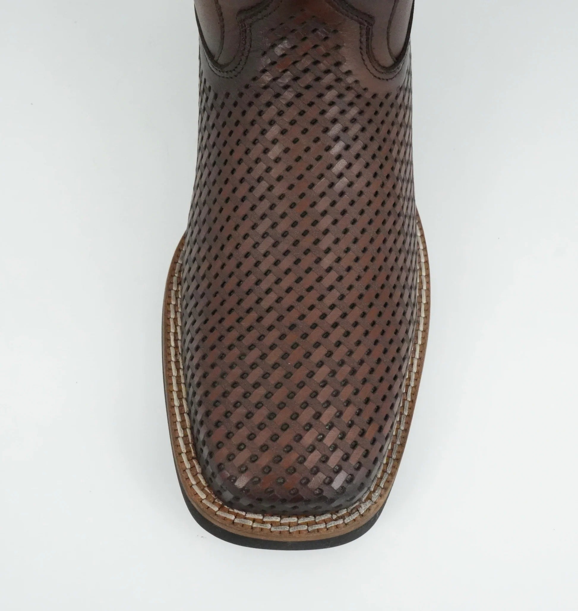 3Z3CVE - VENADO ITALIANO MIEL