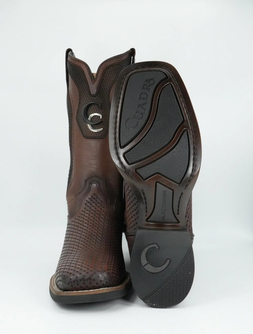 3Z3CVE - VENADO ITALIANO MIEL